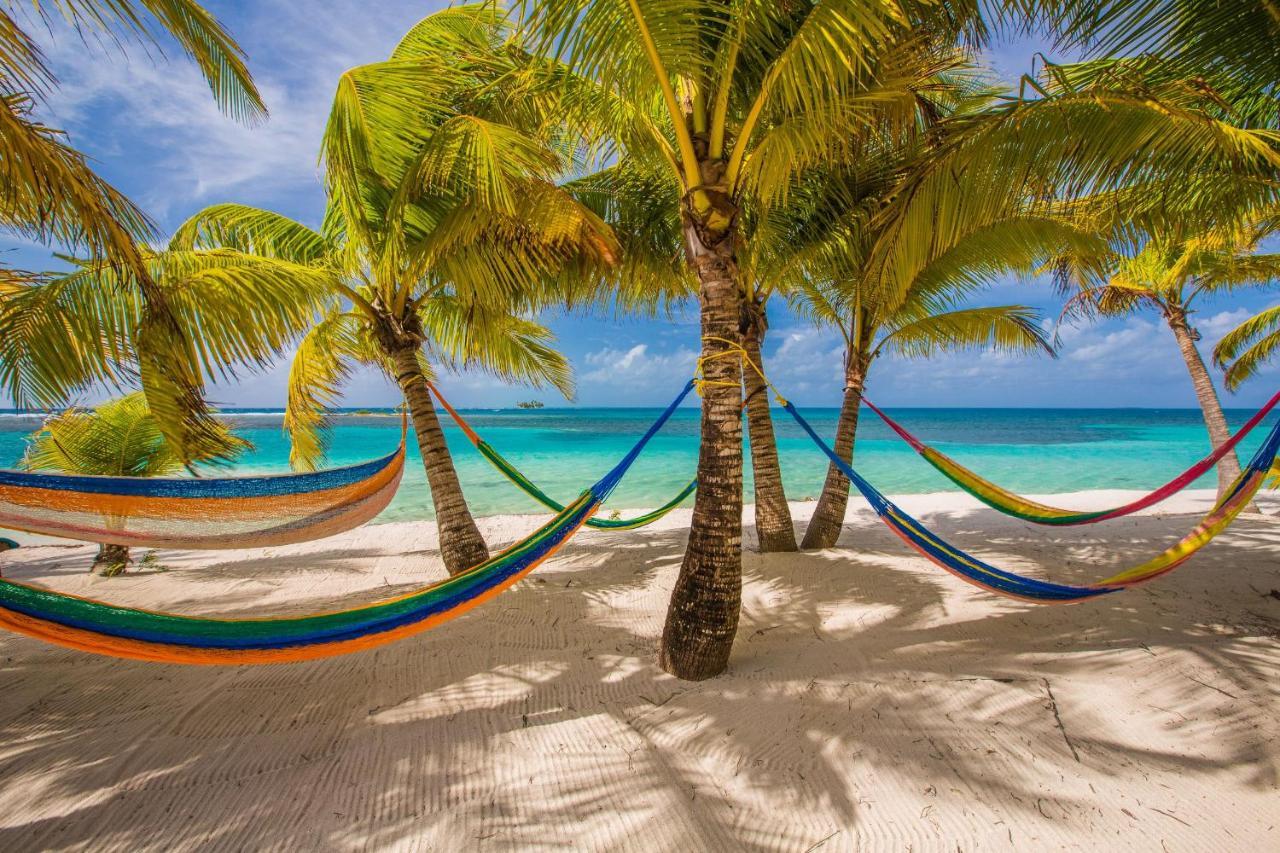 Pelican Beach Resort South Water Caye Dangriga Extérieur photo