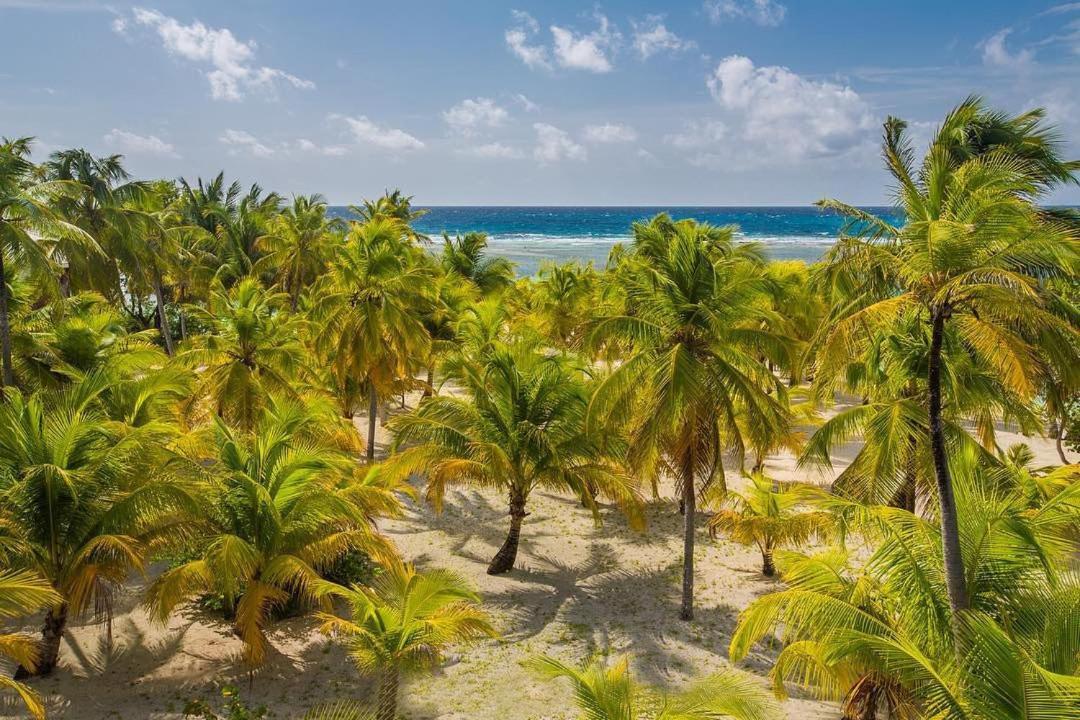 Pelican Beach Resort South Water Caye Dangriga Extérieur photo